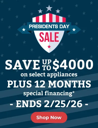 presidents day sale